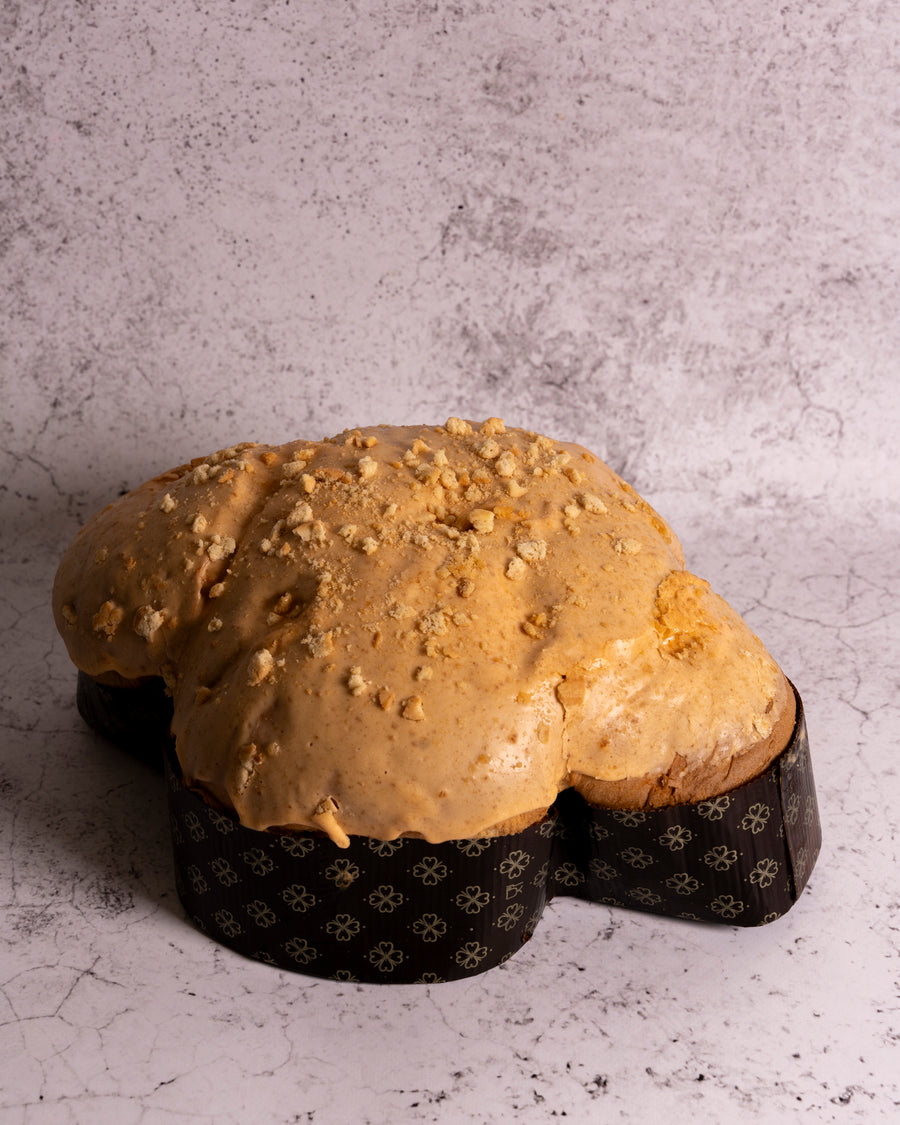 COLOMBA LOTOOS