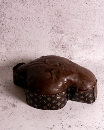 COLOMBA ALBICOCCA E CHOCO FONDENTE